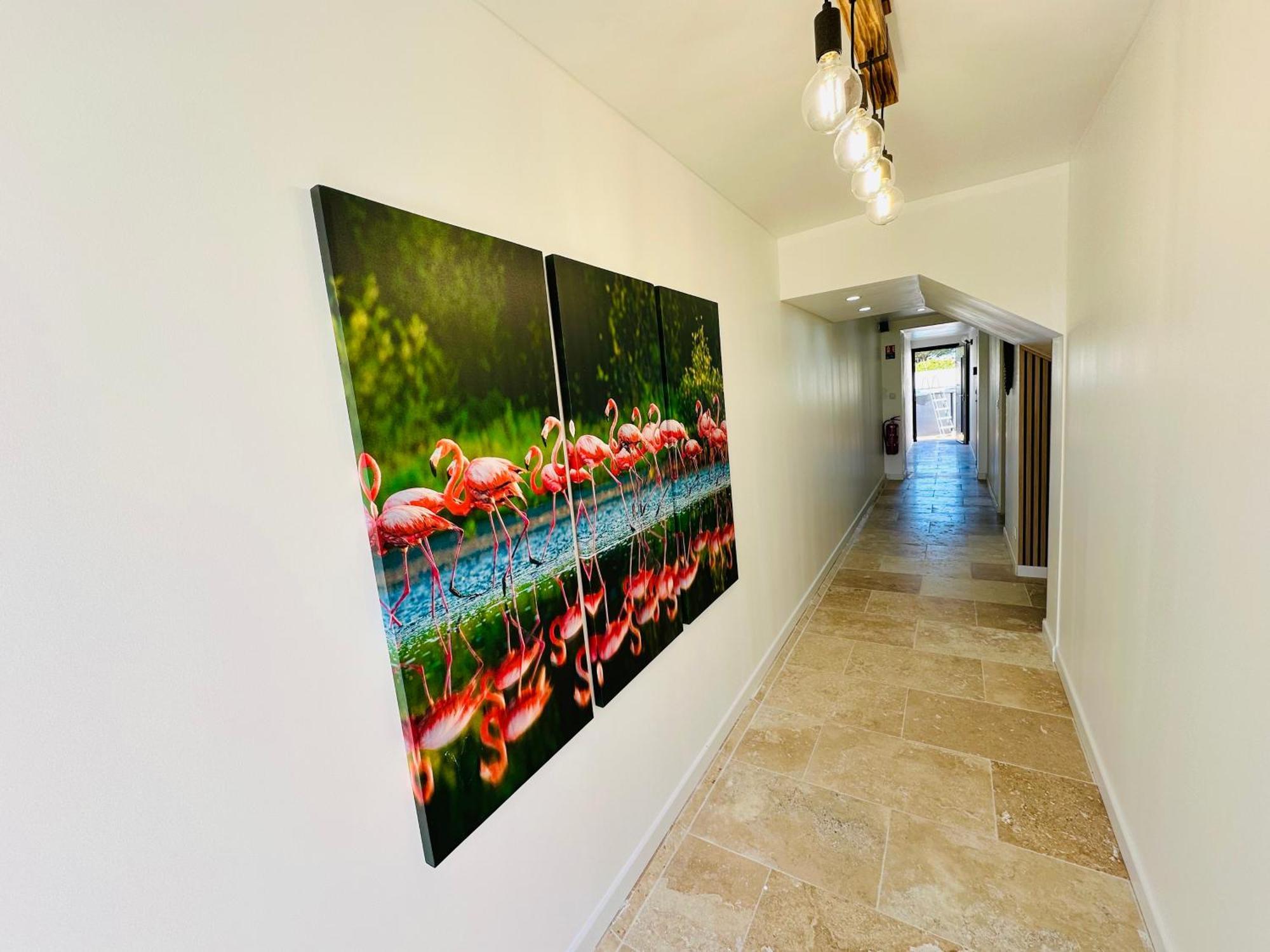 Les Appartements Du Mas - Rose Marie Aigues-Mortes Exteriör bild