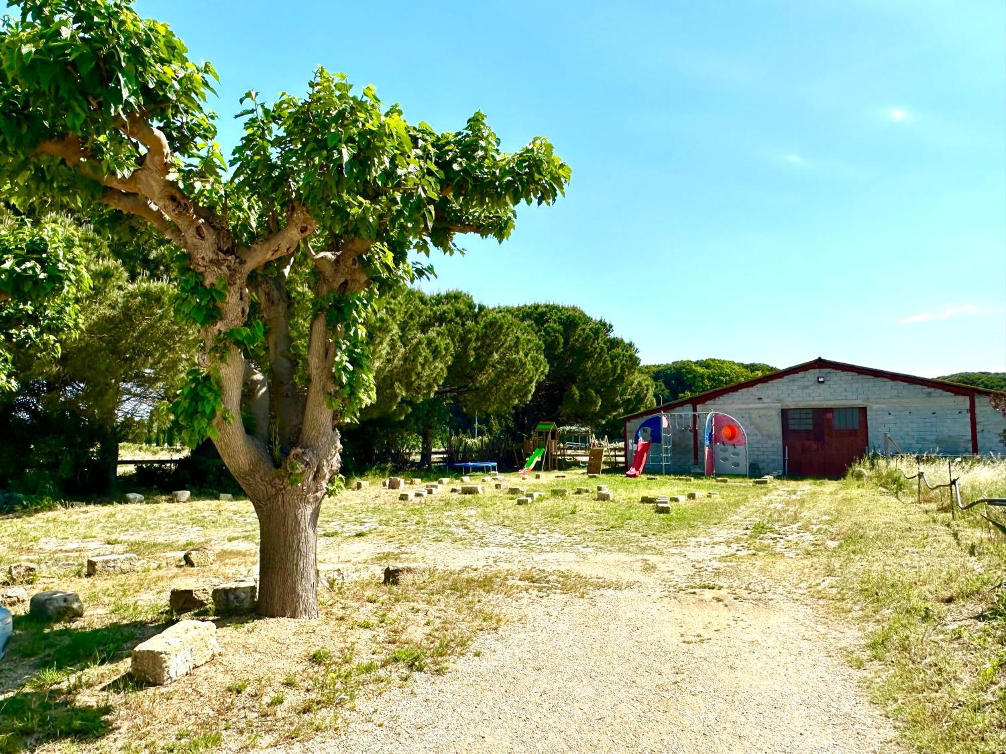 Les Appartements Du Mas - Rose Marie Aigues-Mortes Exteriör bild